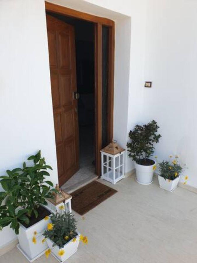 סיטייה Palaikastro Holiday Apartment מראה חיצוני תמונה