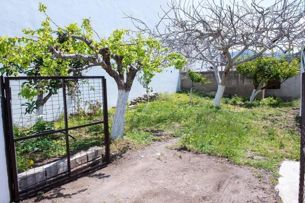 סיטייה Palaikastro Holiday Apartment מראה חיצוני תמונה